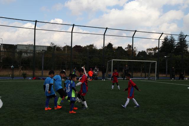 世欧预全面开战!赛制残酷 德法西葡剑指开门红